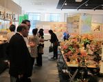 img_1737-2-aeuu.jpg